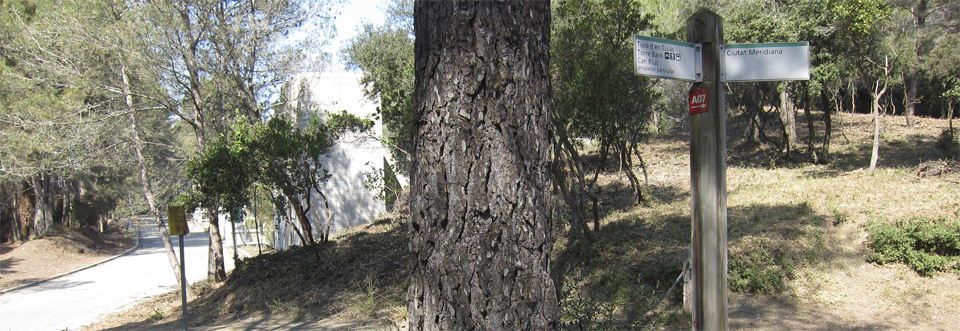 cementiri