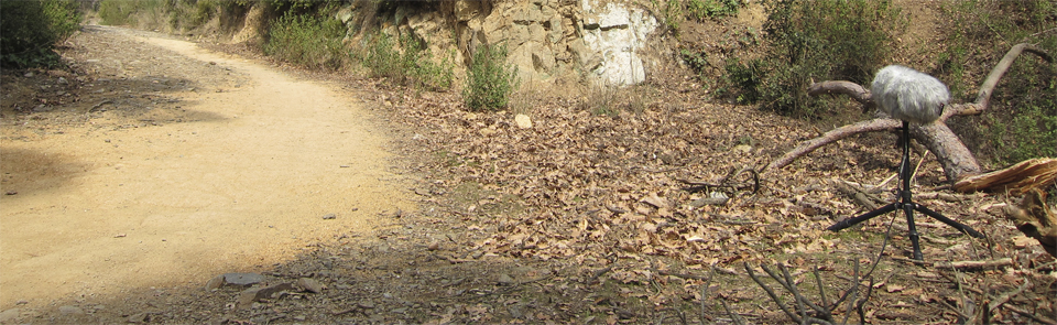 turodesantamaria